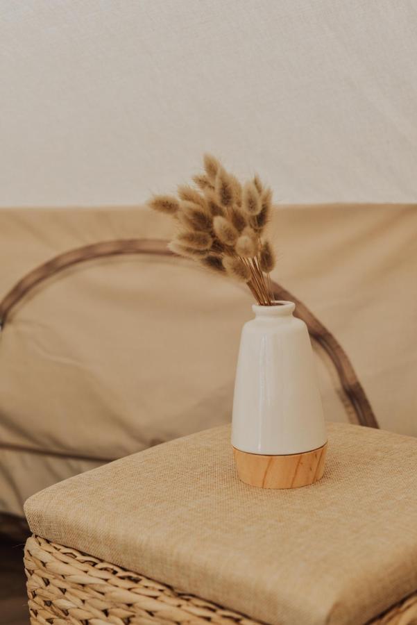 Cocooning Tipi - Seignosse酒店 外观 照片